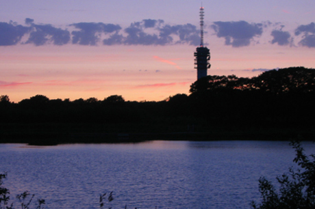 Zonsondergang bij Noorderbos