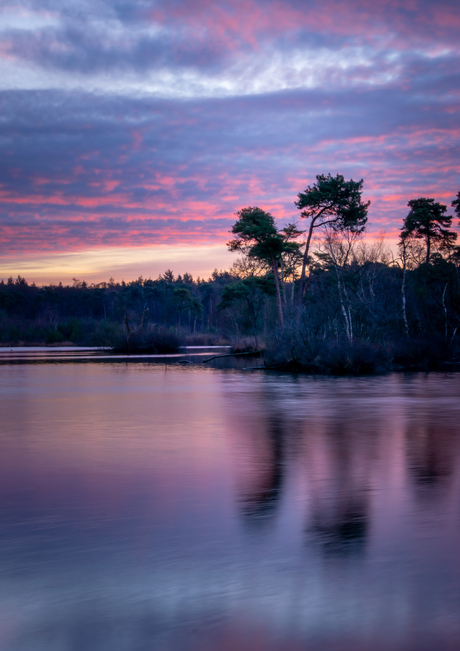 Zonsopkomst Oisterwijkse Vennen - Paarse lucht