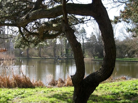 doorkijkje in ons parkje