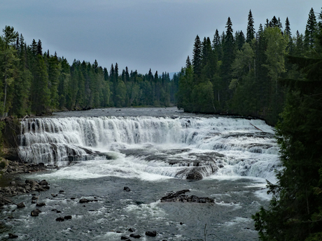 Dawson Falls