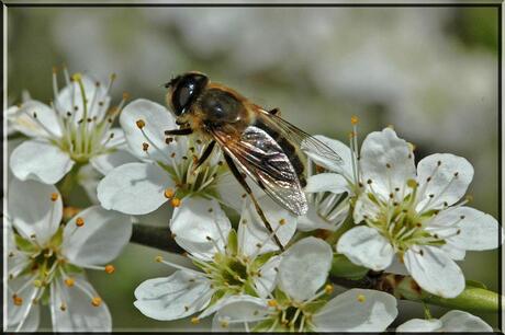 Mijn eerste macro