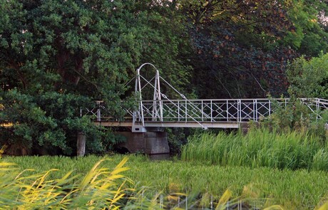 Bruggetje op De Veenhoop