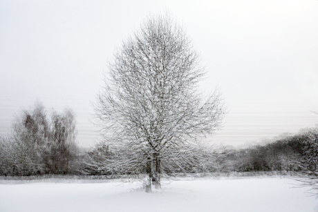 Meervoudige belichting winterlandschap