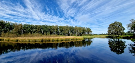 The beauty of reflection