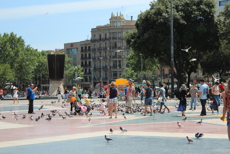plaza del catalunya