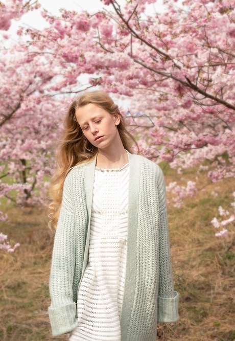 Model Isabelle