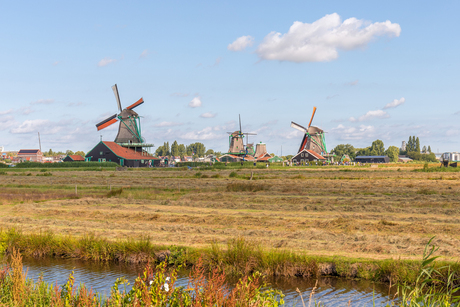 Zaanse Schans Molens