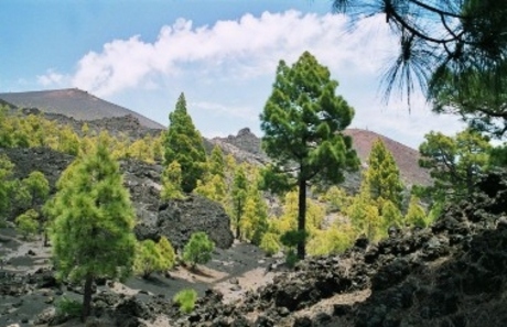 Vulkaanroute la Palma