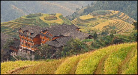 Longji rijstterrassen China