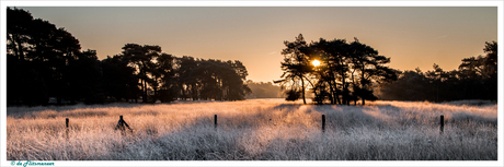 Zonsopkomst boven De Flaes