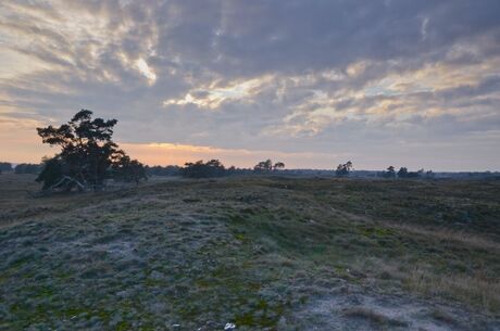 Veluwe herfst