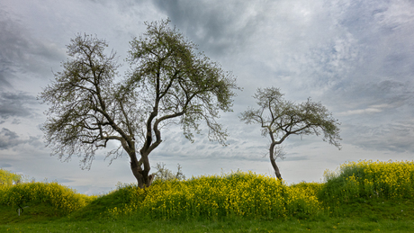 Werk aan de groeneweg