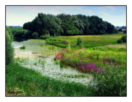 Neerijnen