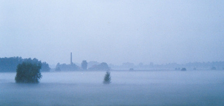 Mist in de morgen