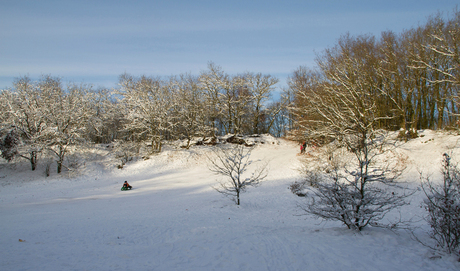 Gelders Landschap Bergharen 1