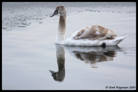 spiegelbeeld