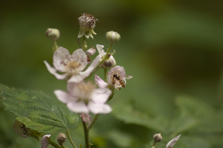 20130725_13kopie.jpg