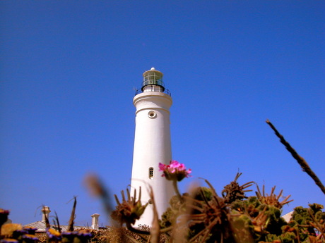 vuurtoren Zuidafrika