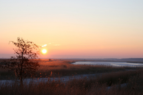 Zonsopgang Oostvaardersdijk