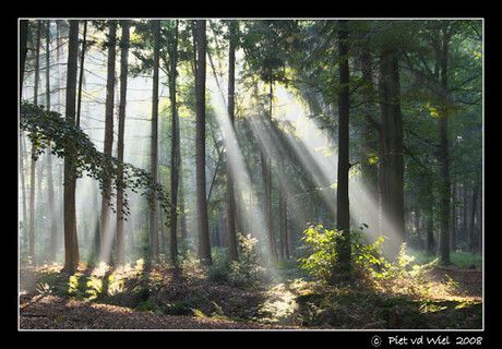 Lichtgordijn.