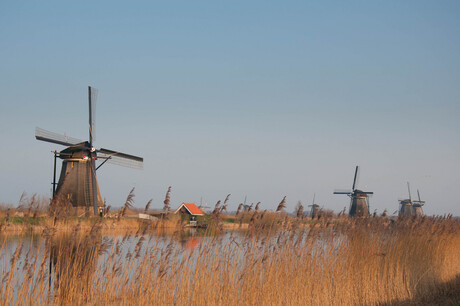 Kinderdijk_01