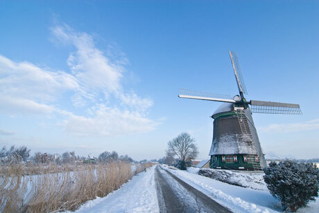 Winterlandschap