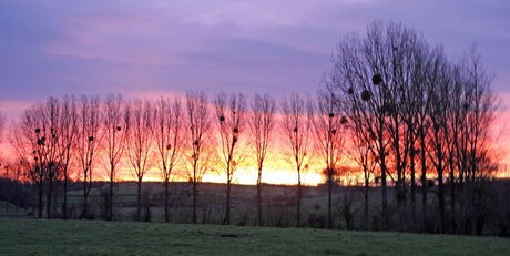 opkomende zon