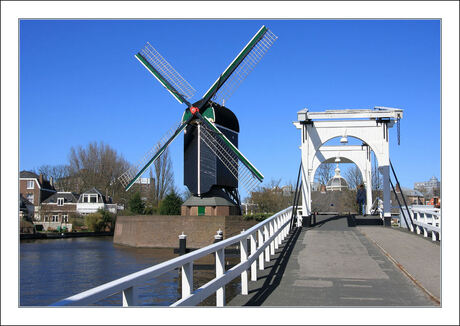 Molen de Put te Leiden