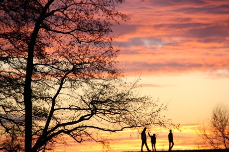 Zonsondergang met magische sillouetten