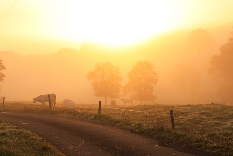 zonsopkomst