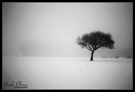 mist en sneeuw