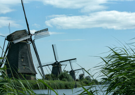 Kinderdijk_S0A0229.jpg