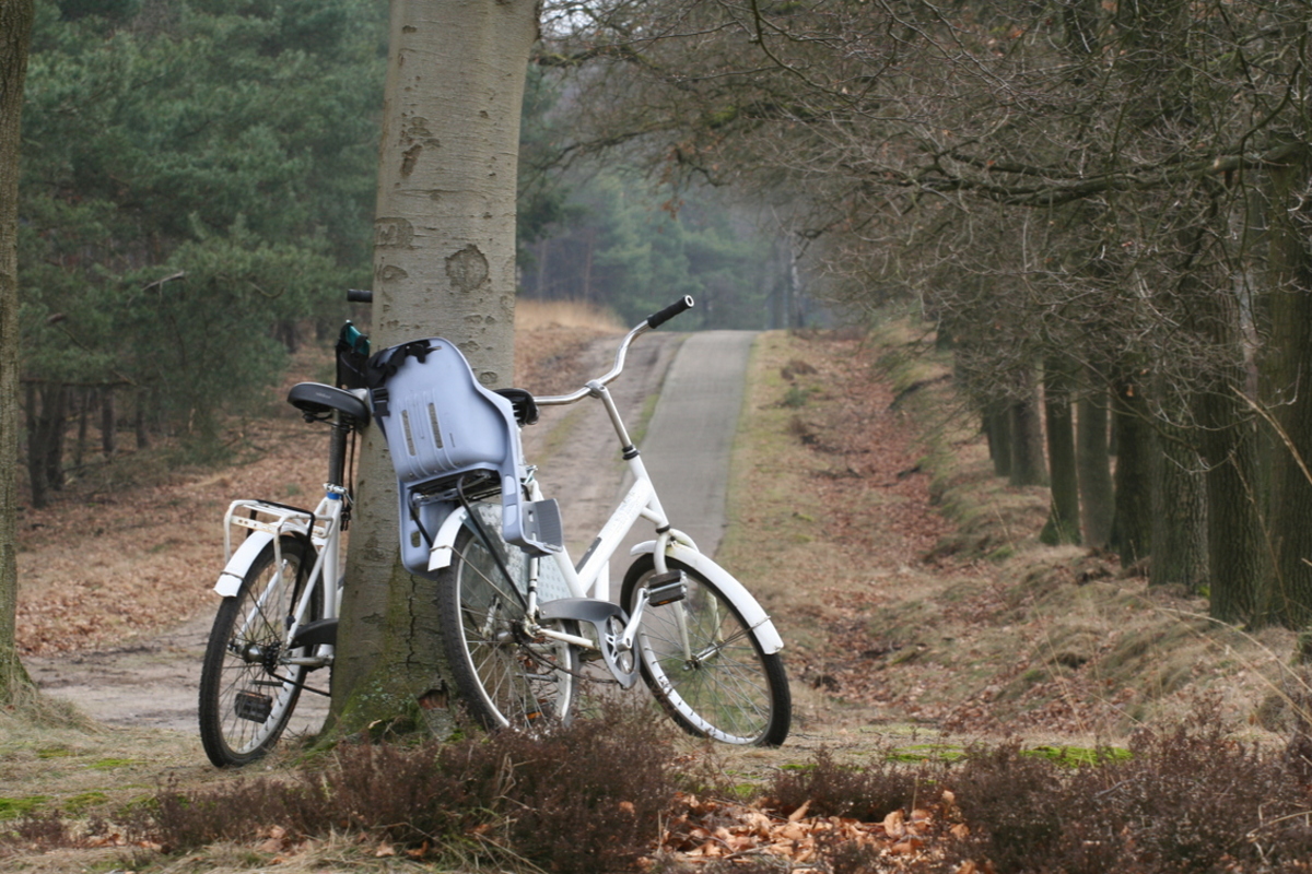 Discrimineren team Tegen de wil witte fietsen park hoge veluwe - foto van martijnmad - Landschap - Zoom.nl
