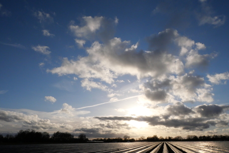 Lucht bij aspergevelden