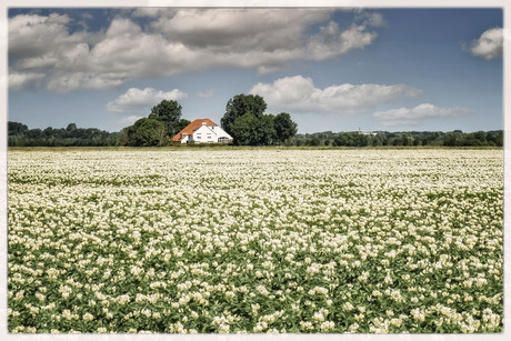 Schouws landschap