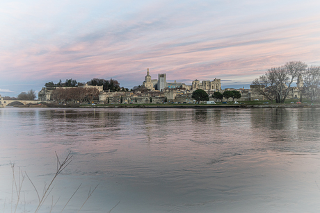 Avignon