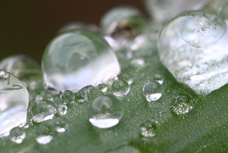 Dauw druppels als glazen bollen op een blad 