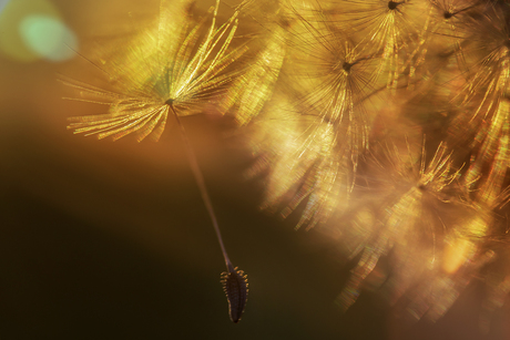 Tijd om los te laten...