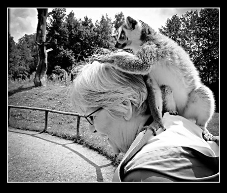 het bewijs leveren.................................