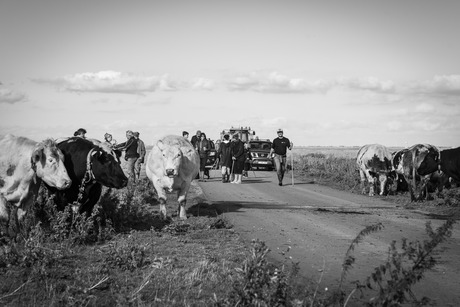 De klus in bijna geklaard