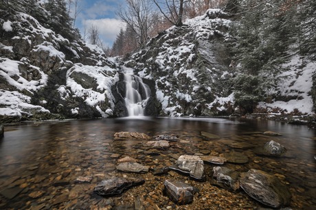 Winter Wonderland