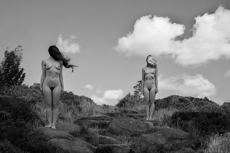 Which Way The Wind Blows