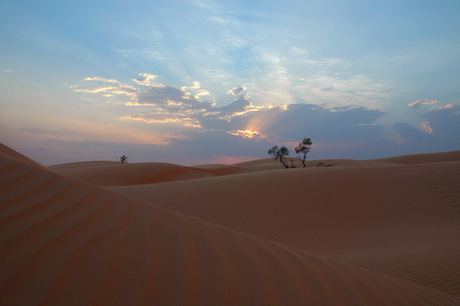 Zonsondergang in woestijn (2)