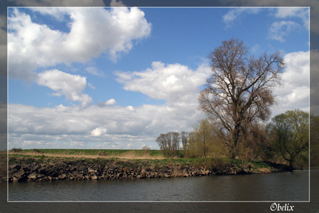 Biesbosch 2