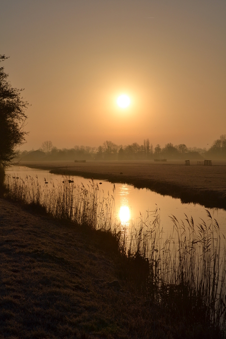 zonsopkomst in de polder