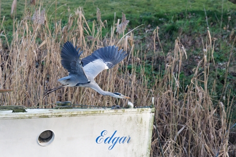 Edgar de reiger !