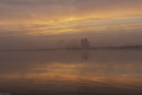 Gekleurde mist