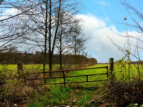 Uit het archief 2010,