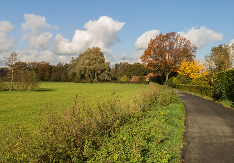 Herfstbeeld