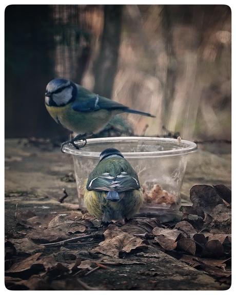 Zwaar weer op de picknicktafel 